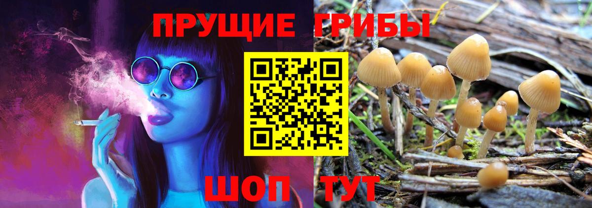 Псилоцибиновые грибы мухоморы  Вход с VPN  Муром  Галлюциногенные грибы GOLDEN TEACHER 